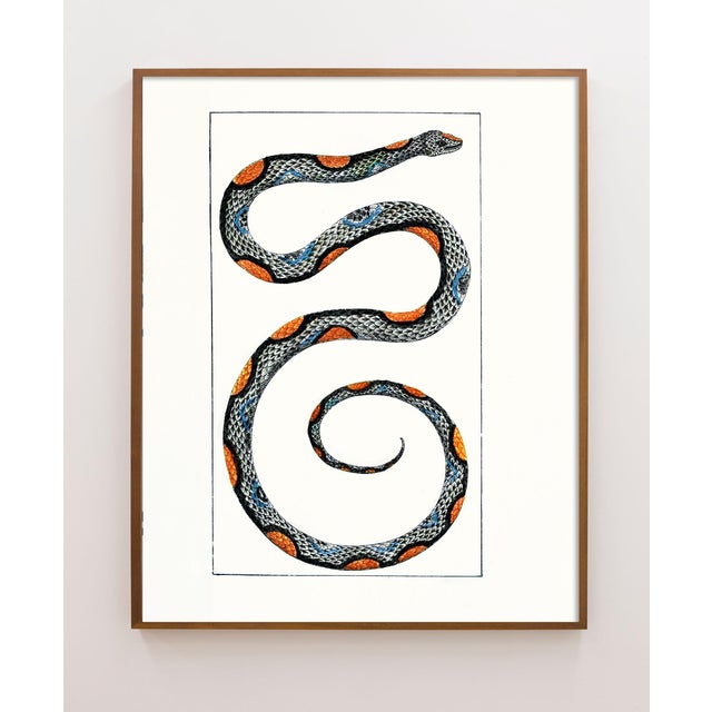 Vintage Deco Snake Print For Sale - Image 4 of 4