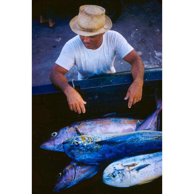 Hawaiian Scenes by Toni Frissell A Hawaiian fisherman considers his catch, Hawaii, USA, 1957. (Photo by Toni Frissell)...