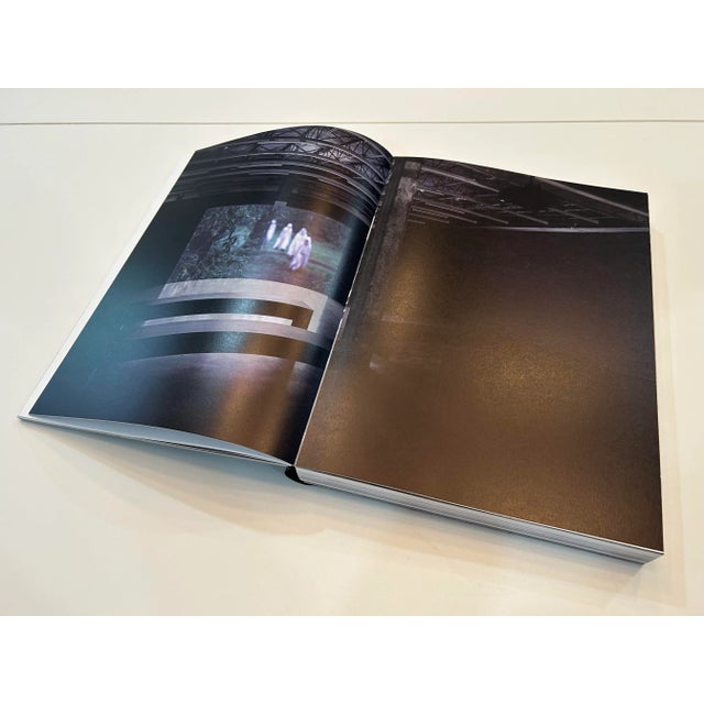 Paper Rodney McMillian: History Is Present Tense Coffee Table Book For Sale - Image 7 of 12