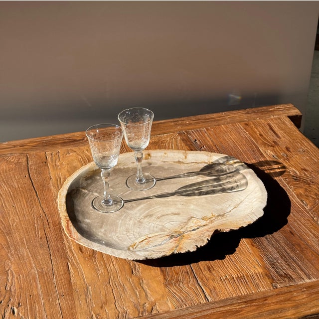 Large Beige Petrified Wood Storage Tray or Dish For Sale - Image 11 of 18