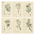 After Sowerby, English Botanical Plates of British Wildflowers & Herbs, Prints, Set of 6 For Sale