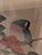 Vintage Asian Wc Painting Signed Bird of Paradise For Sale - Image 9 of 13