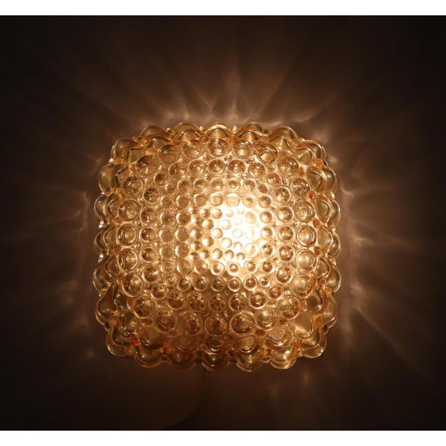 Golden Bubble Wall Light with Glass by Helena Tynell for Glashütte Limburg, 1960s For Sale - Image 6 of 17