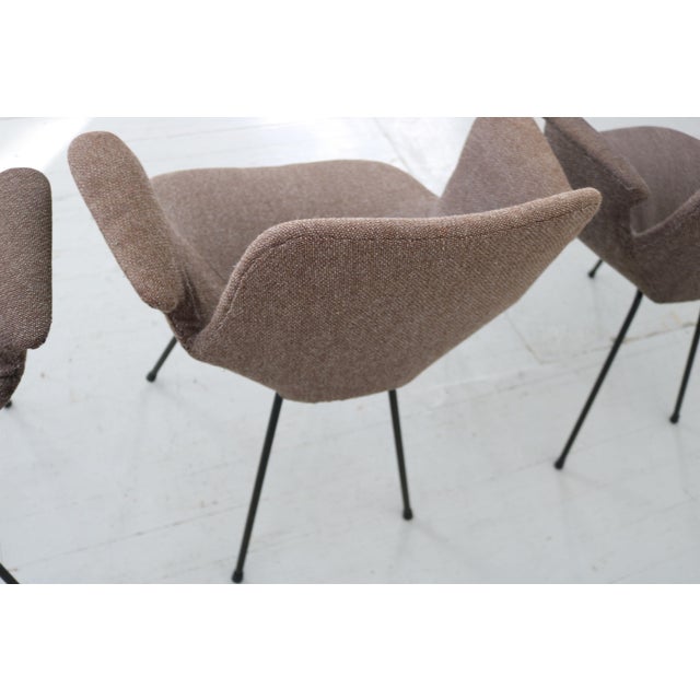 Model Medea Chairs with Fabric Cover by Vittorio Nobili for Frattelli Tagliabue, 1960s, Set of 3 For Sale - Image 15 of 18