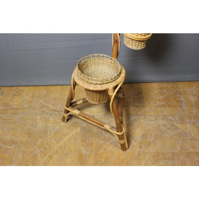 1970s Rattan Plant Holder, 1970s For Sale - Image 5 of 9