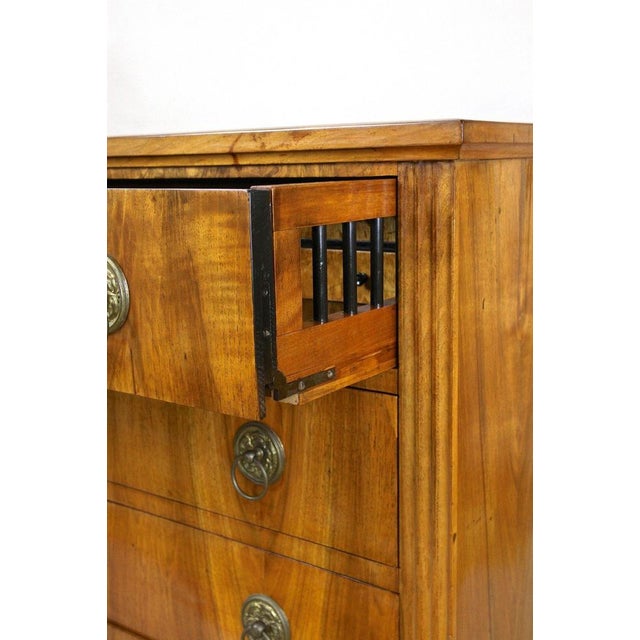 Antique Biedermeier Chest of Drawers, Austria, 1830 For Sale - Image 10 of 18