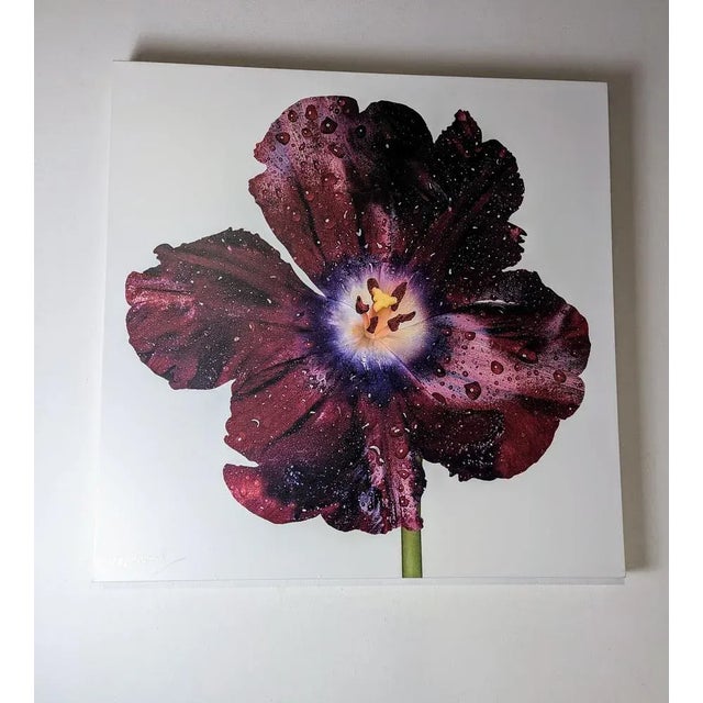 Textile Peter Arnold, Hibiscus Flower, 2000s, Artwork on Canvas For Sale - Image 7 of 11