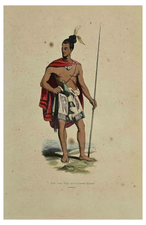 Auguste Wahlen, Chef d'une Tribu de la Nouvelle Zelande, Lithograph, 1844
