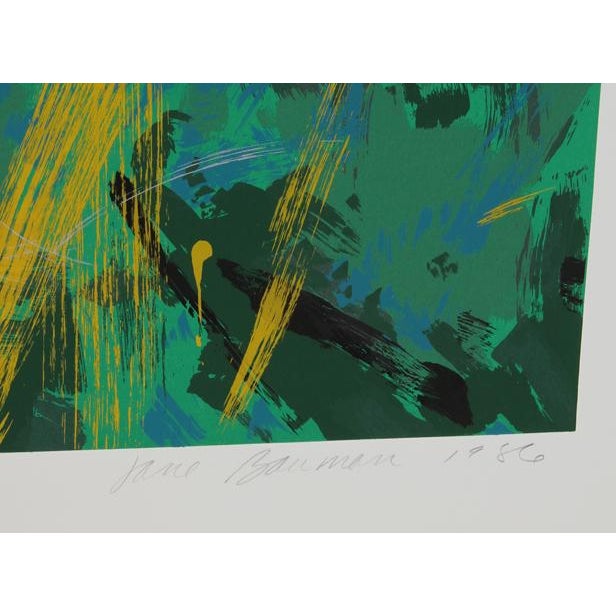 Jane Bauman was born in Burbank California and considers growing up in the Los Angeles area to be a formative influence....