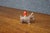 Folk Art Scotty Dog Table Lighter For Sale - Image 3 of 11