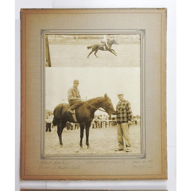 1950's Winner Circle Quarterhorse Horse Racing Photographs - Set of 4 For Sale - Image 4 of 5