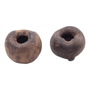 Pair of Curious Seed Pods Used for Storage, Possibly Se Asia, 19th Century