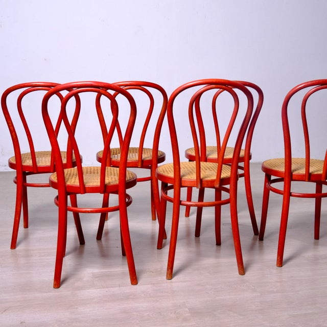 Red Vienna Straw Chairs in the style of Thonet, 1970s, Set of 6 For Sale - Image 8 of 14