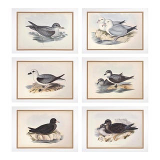 Rare Gould Pattern Gallery, 19th Century Hand-Colored Lithographs From John Gould’s Birds of Australia | Custom Mat Selection - Set of 6 For Sale