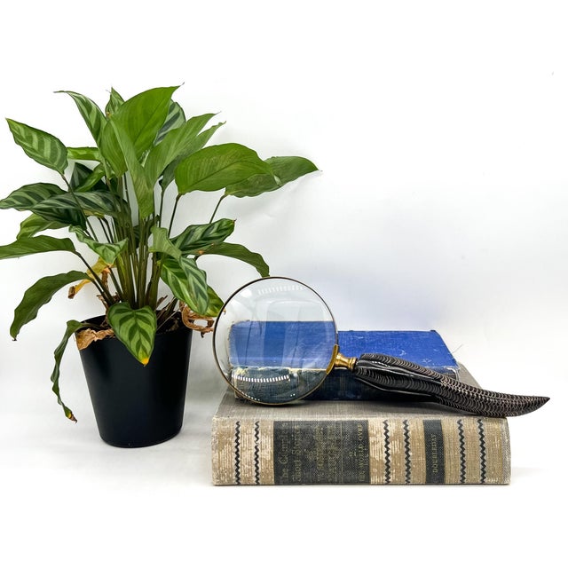 Striking vintage magnifying glass featuring a beautifully hand-carved horn handle with organic curved form and finely...