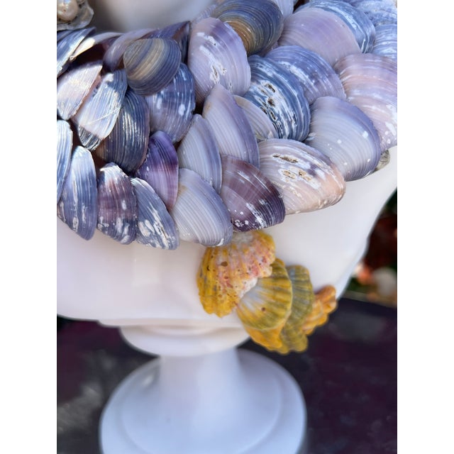 Christa's South Seashells CSS 15" Seashell Apollo Bust For Sale - Image 4 of 8