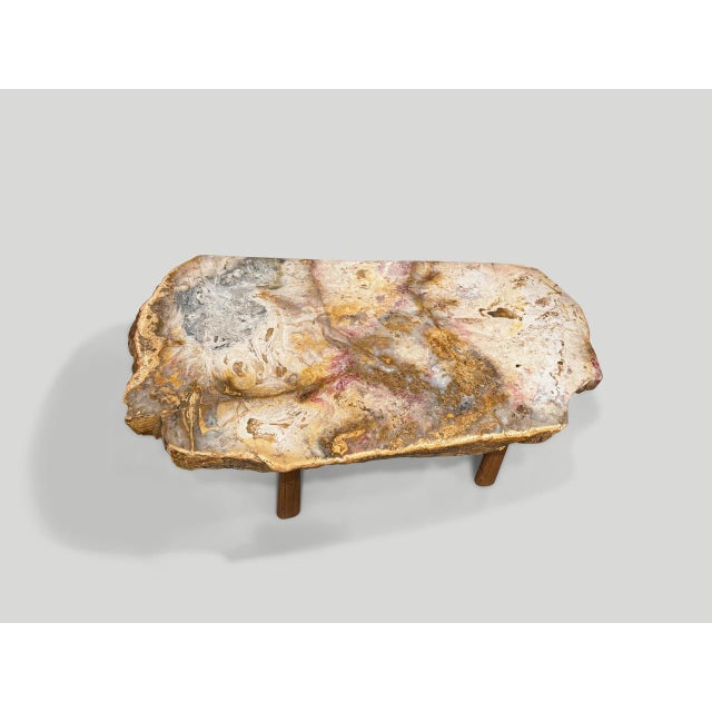 Wood Andrianna Shamaris Beautiful Rare Petrified Wood Coffee Table For Sale - Image 7 of 18