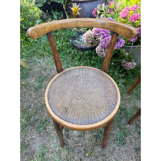 Art Nouveau Early 20th Century Thonet Style Cafe Bistro Chairs - Set of 3 For Sale - Image 3 of 7