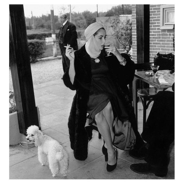 Taylor And Poodle 23rd April 1957: American actress Elizabeth Taylor sips a drink and smokes a cigarette during a stop for...