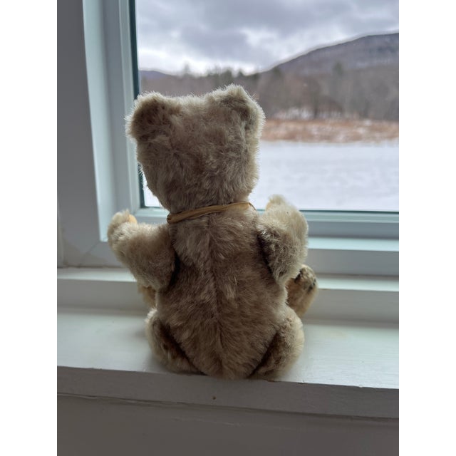 Early 20th Century Small Steiff Bear Antique For Sale - Image 5 of 11
