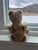Early 20th Century Small Steiff Bear Antique For Sale - Image 5 of 11