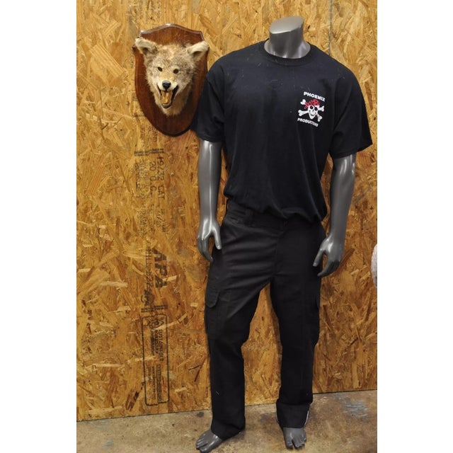 Vintage Jackal Shoulder Trophy Mount Oak Wall Plaque Taxidermy Mancave Decor. Circa Mid 20th Century. Measurements...