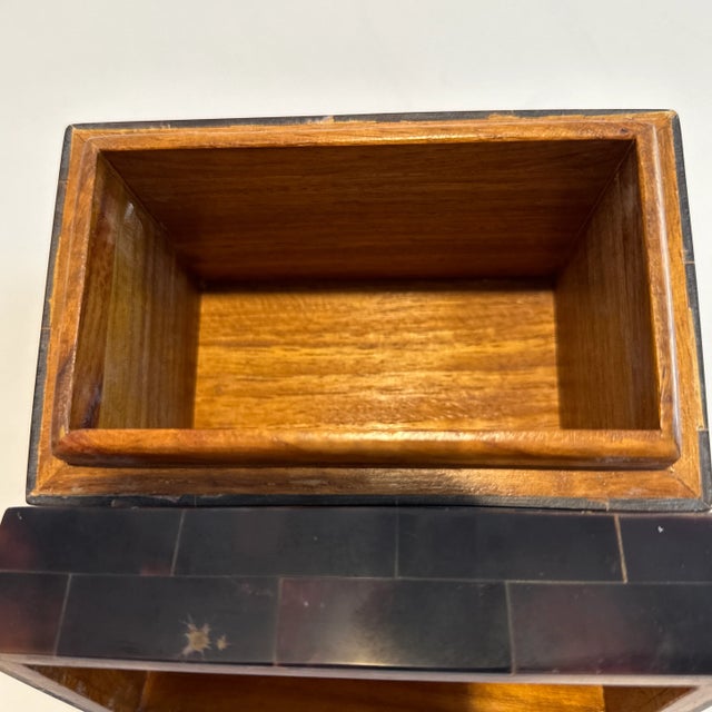 Brown Maitland Smith Penshell Box With Brass Detail For Sale - Image 8 of 9
