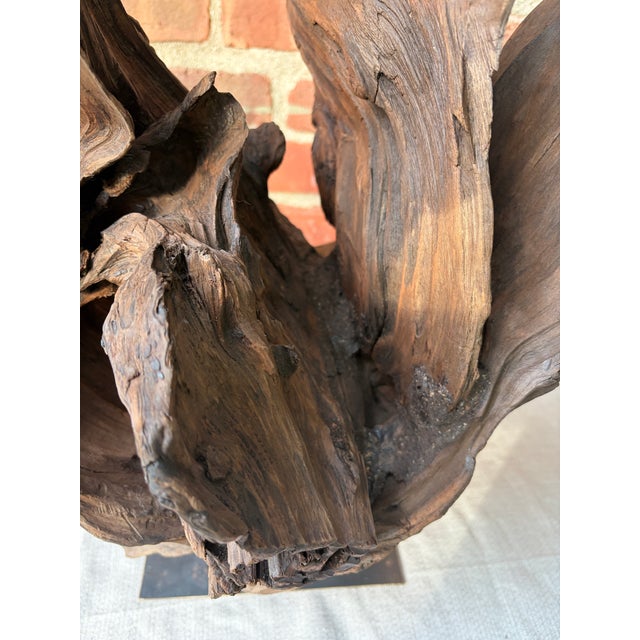 Vintage Teak Wood Root Sculpture on Metal Stand For Sale - Image 9 of 17