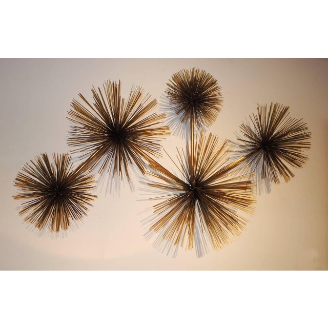 Curtis Jere Wall Sea Urchin Sculpture Chairish