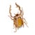 Late 19th Century Victorian 4.40 Carat Citrine 18k Yellow Gold Stag Beetle Brooch For Sale In Los Angeles - Image 6 of 6