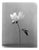 Peony - Analogue Black and White Floral Photography, Limited Editon of 10 2022 For Sale