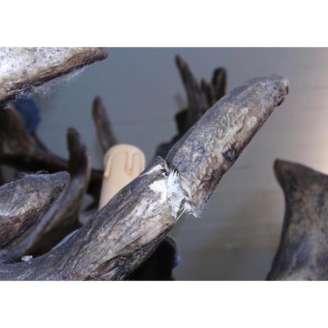 Bone 1990s Extremely Large Baronial Hunting Lodge Style Moose Antler Horn Chandelier For Sale - Image 7 of 11
