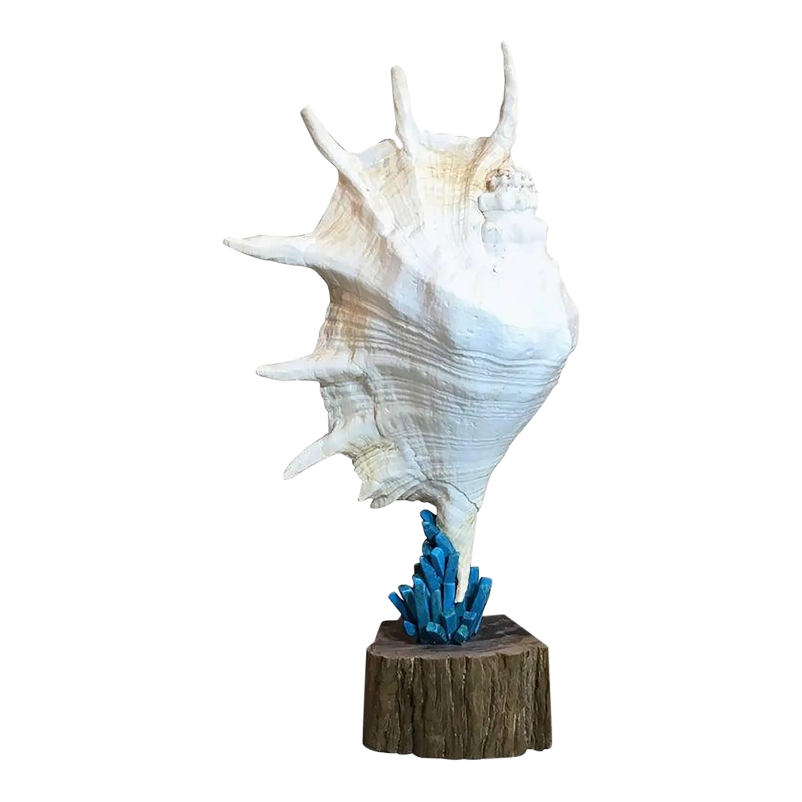 Exquisite Joseph Malekan Handcrafted Natural Element Sculptures | Chairish