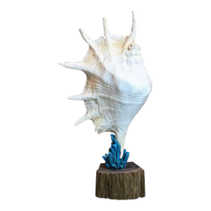 Exquisite Joseph Malekan Handcrafted Natural Element Sculptures