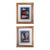 Pair of Framed Vintage Sea Shell Photograph Prints in Traditional Cream Bordered Matte and Carved Wooden Frames For Sale