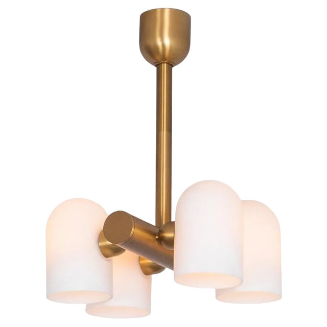 Odyssey Brass Chandelier by Worm For Sale