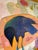 Ink Blue “Crow Rules” a Fun Bird Painting by LWren Walraven For Sale - Image 8 of 14