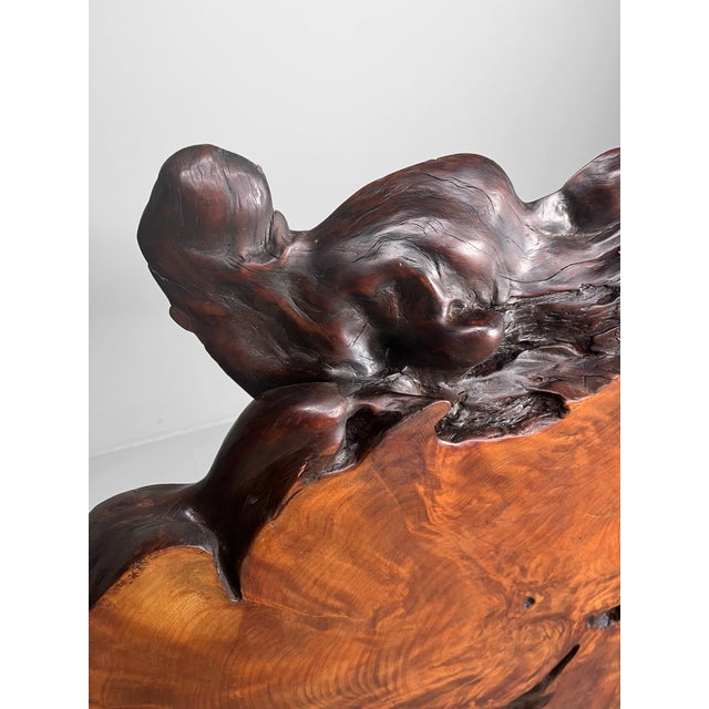 Japanese Burl Wood Decoration For Sale - Image 13 of 15