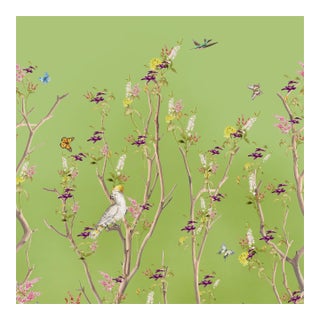 Trailing Garden Chinoiserie a & B Roll | Chartreuse Green by Fynchie For Sale