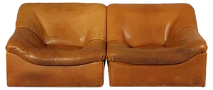 Set of DS-46 Thick Buffalo Leather Lounge Chairs from de Sede, 1970s