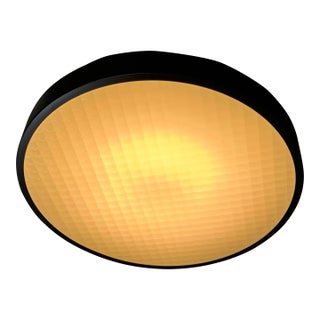 Charles De Lisle for Phoenix Day 2085 Felix Flush Mount For Sale