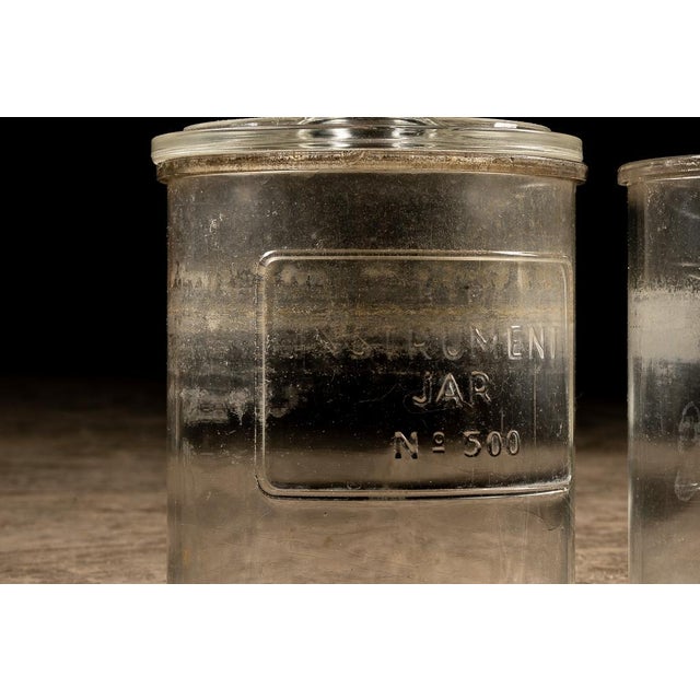 Set of 2 Vintage Barbershop Instrument Jars For Sale - Image 4 of 4