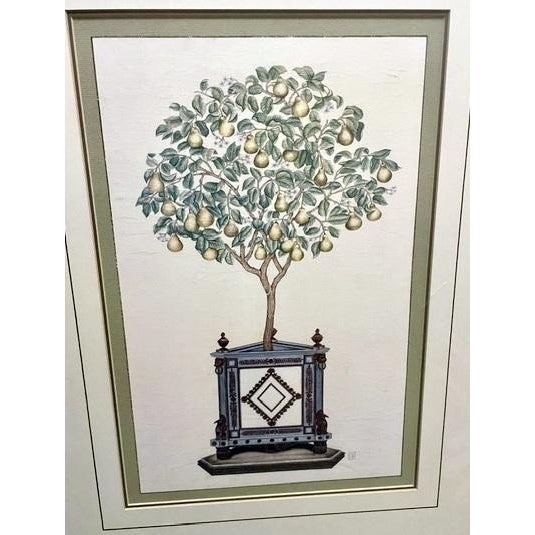 For sale is this charming pair of vintage botanical fruit-tree prints, each depicting a beautifully detailed potted tree...