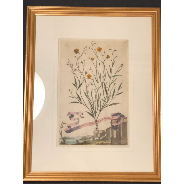 Antique Hand Colored Botanical Prints - Set of 4 For Sale In New York - Image 6 of 11