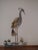1980s 1980s Heron on Lily Pads Wall Sculpture For Sale - Image 5 of 5