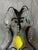 Vintage Murano Wall Sconce, 1960s For Sale - Image 9 of 14