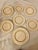 7 - Piece Lenox Springdale Dinnerware Set- 5 Salad Plates , 1 Dinner Plate and 1 Bread Plate. ~ This Springdale pattern...
