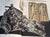 Coffee Ancient Italy Coffee Book For Sale - Image 8 of 17