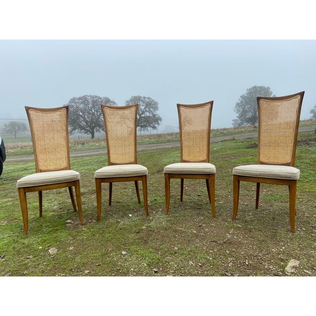 Chocolate Vintage Mid Century Modern Cane Back Dining Chairs Set of 4 For Sale - Image 8 of 12