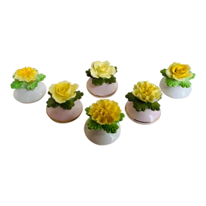 Delightful Set of 6 Denton Staffordshire Floral Salt Shakers